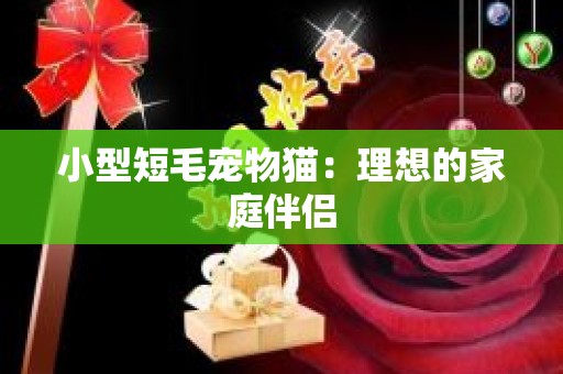小型短毛宠物猫：理想的家庭伴侣