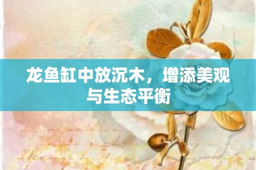 龙鱼缸中放沉木，增添美观与生态平衡