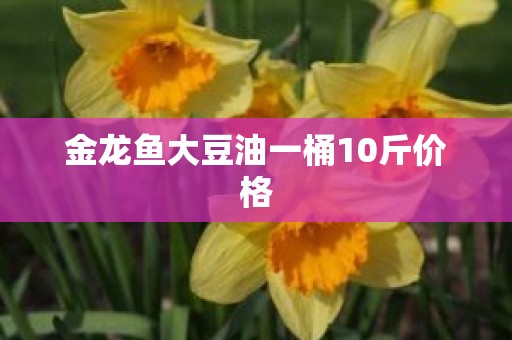 金龙鱼大豆油一桶10斤价格