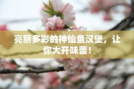 亮丽多彩的神仙鱼汉堡，让你大开味蕾！