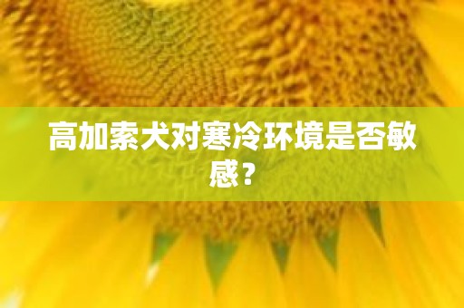 高加索犬对寒冷环境是否敏感？