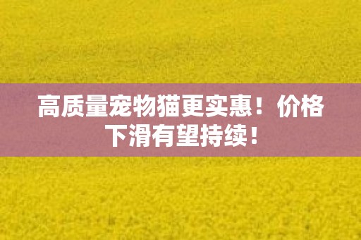 高质量宠物猫更实惠！价格下滑有望持续！