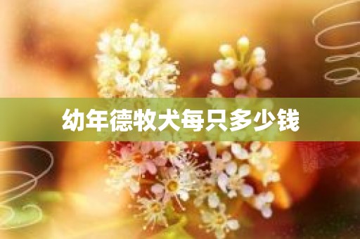 幼年德牧犬每只多少钱