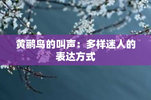 黄鹂鸟的叫声：多样迷人的表达方式