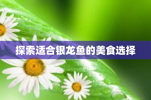 探索适合银龙鱼的美食选择