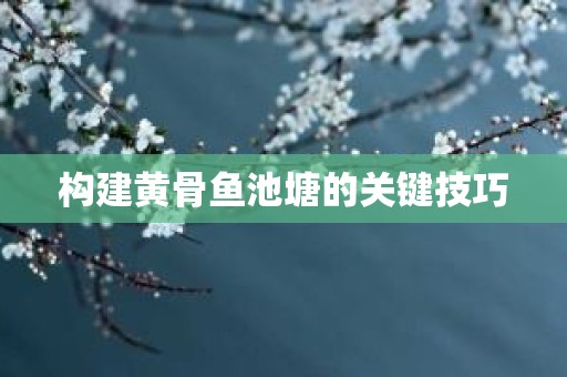 构建黄骨鱼池塘的关键技巧