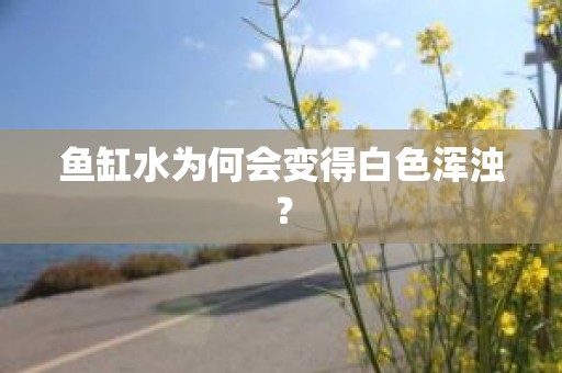 鱼缸水为何会变得白色浑浊？