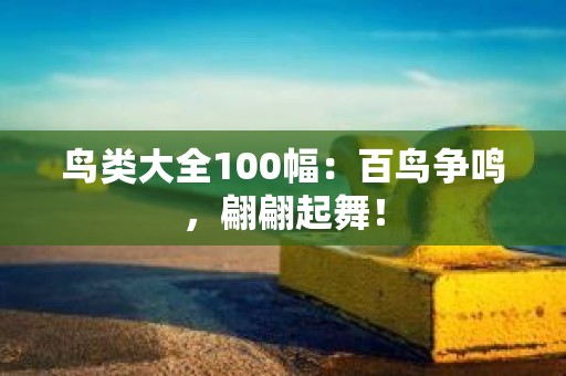 鸟类大全100幅：百鸟争鸣，翩翩起舞！