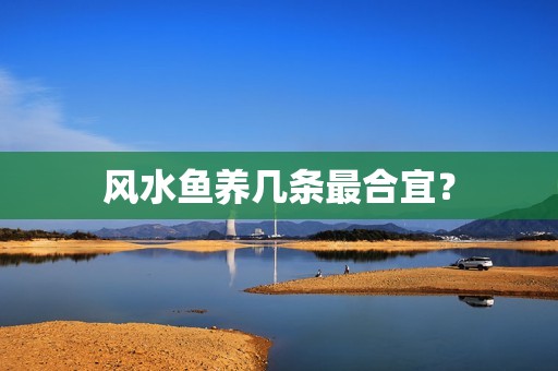 风水鱼养几条最合宜？
