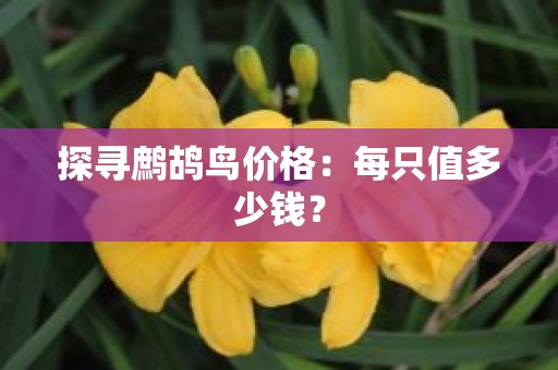 探寻鹧鸪鸟价格：每只值多少钱？