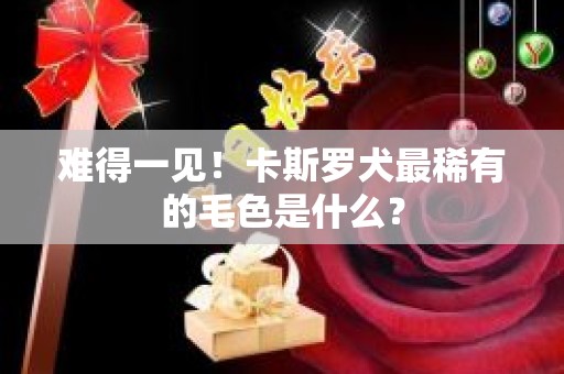 难得一见！卡斯罗犬最稀有的毛色是什么？