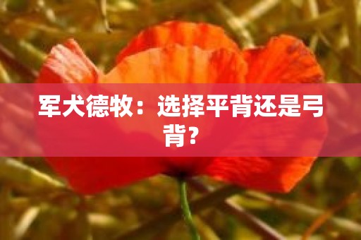 军犬德牧：选择平背还是弓背？