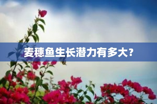 麦穗鱼生长潜力有多大？