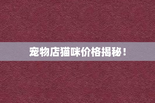 宠物店猫咪价格揭秘！