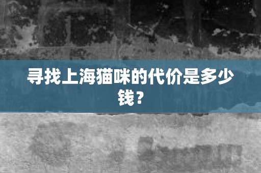 寻找上海猫咪的代价是多少钱？