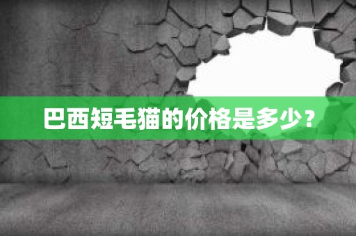 巴西短毛猫的价格是多少？