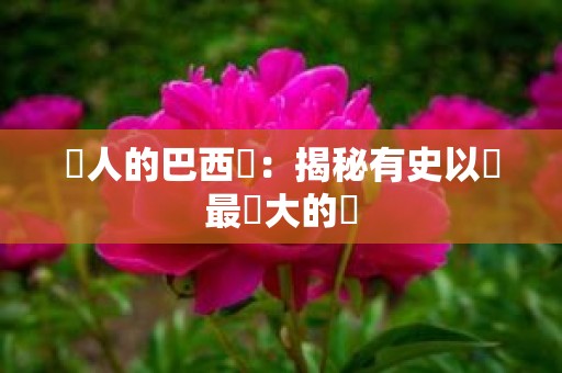 驚人的巴西龍：揭秘有史以來最龐大的龍