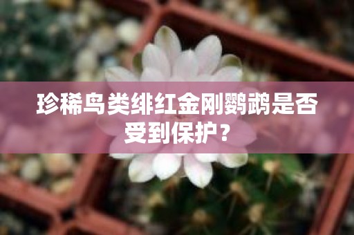 珍稀鸟类绯红金刚鹦鹉是否受到保护？