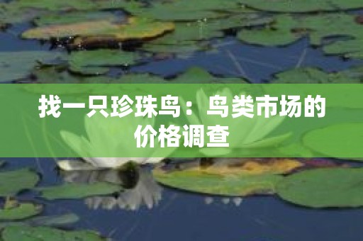 找一只珍珠鸟：鸟类市场的价格调查