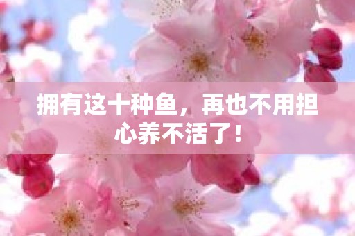 拥有这十种鱼，再也不用担心养不活了！