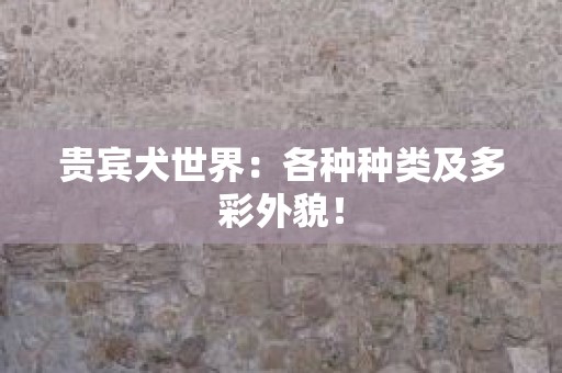 贵宾犬世界：各种种类及多彩外貌！