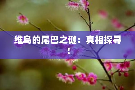 维鸟的尾巴之谜：真相探寻！