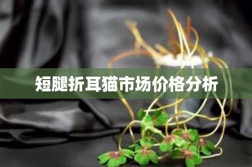 短腿折耳猫市场价格分析