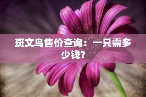 斑文鸟售价查询：一只需多少钱？