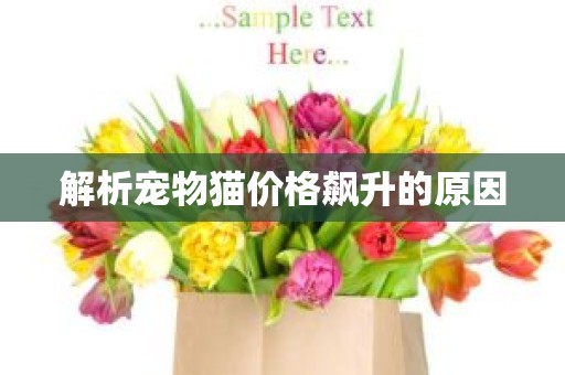 解析宠物猫价格飙升的原因
