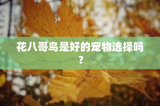 花八哥鸟是好的宠物选择吗？