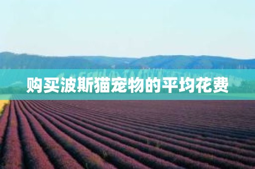 购买波斯猫宠物的平均花费