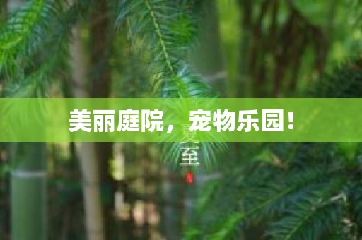 美丽庭院，宠物乐园！