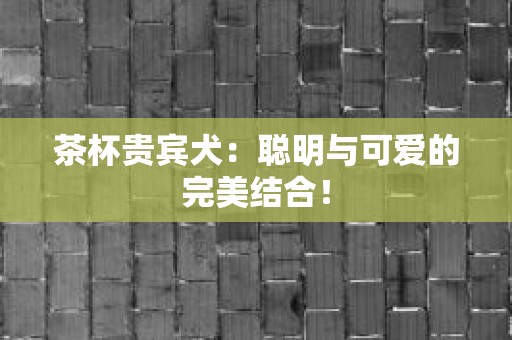 茶杯贵宾犬：聪明与可爱的完美结合！