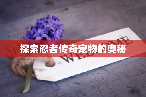 探索忍者传奇宠物的奥秘