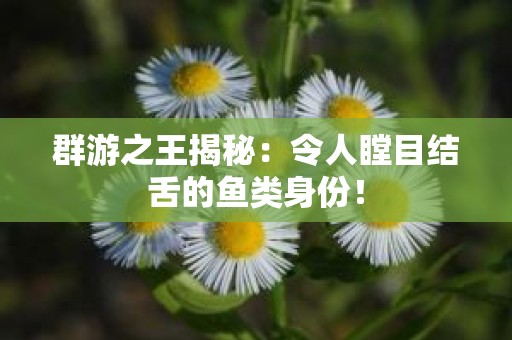 群游之王揭秘：令人瞠目结舌的鱼类身份！