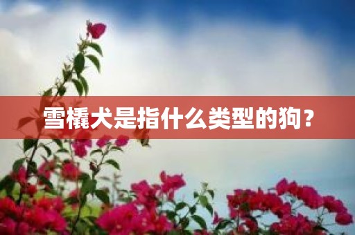 雪橇犬是指什么类型的狗？