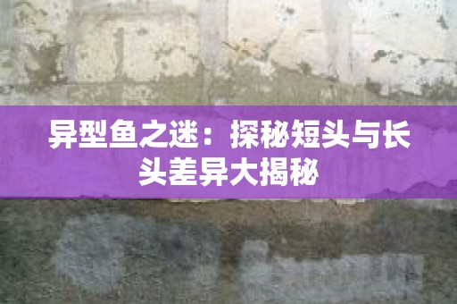 异型鱼之迷：探秘短头与长头差异大揭秘