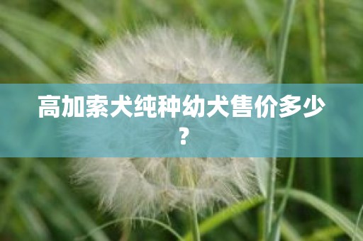 高加索犬纯种幼犬售价多少？