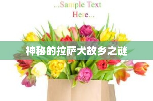 神秘的拉萨犬故乡之谜