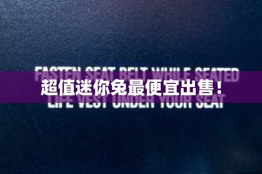 超值迷你兔最便宜出售！