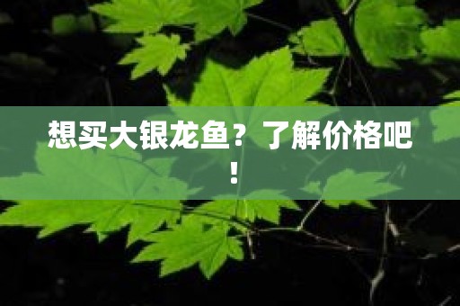 想买大银龙鱼？了解价格吧！
