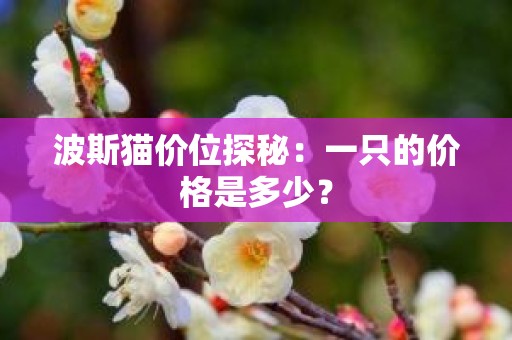 波斯猫价位探秘：一只的价格是多少？