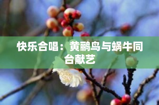 快乐合唱：黄鹂鸟与蜗牛同台献艺