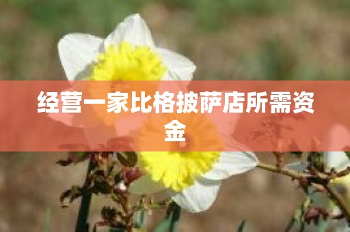 经营一家比格披萨店所需资金