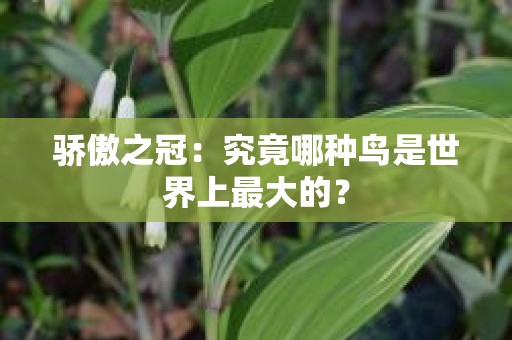 骄傲之冠：究竟哪种鸟是世界上最大的？