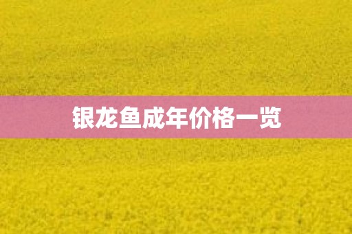 银龙鱼成年价格一览