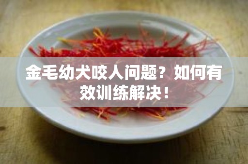 金毛幼犬咬人问题？如何有效训练解决！