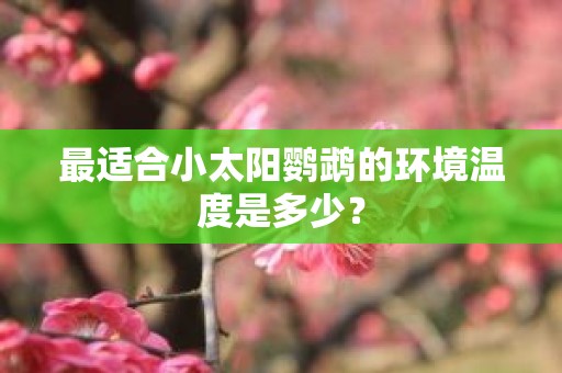 最适合小太阳鹦鹉的环境温度是多少？