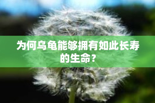 为何乌龟能够拥有如此长寿的生命？