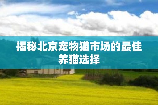揭秘北京宠物猫市场的最佳养猫选择